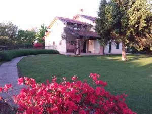 “Al Campo” - Buttapietra