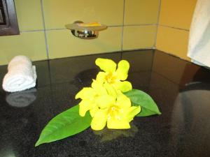 Chalets Bougainville