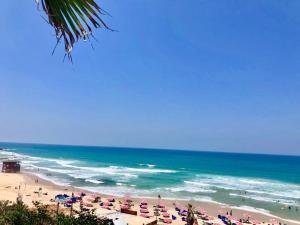 Studio Apartment in Bat-Yam - 4-star hotels in Bat Yam