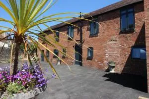 2 Fox Studios - 马奇温洛克