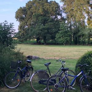 Manoir De La Chouanniere