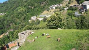 Agriturismo Fiorendo