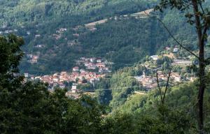I 3 Porcellini