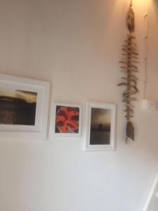 Casa Vacanze Carlappiano