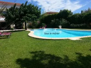 Sous le mûrier - Six-Fours-les-Plages