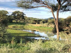 Roidina Safari Lodge