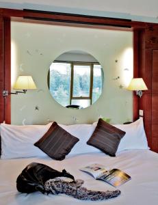 Hotels Logis des Lacs d'Halco : photos des chambres