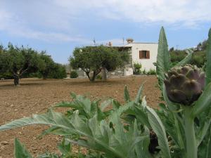 Marcello Country Houses Paros Greece