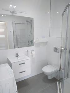 Apartament Pionier