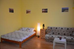 Miracool Apartament