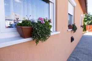 Boróka Vendégház Túrkeve - Túrkeve