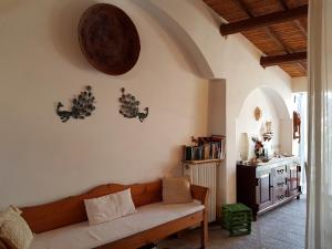 L'AGRUMETO SEGRETO img15