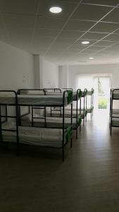 Bunk Bed in Mixed Dormitory Room room in Albergue O Trisquel