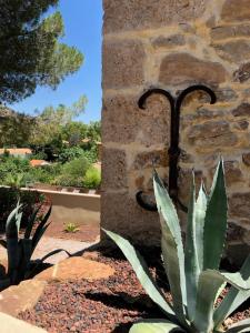 Maisons de vacances La Forge : photos des chambres