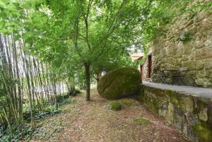 One-Bedroom Apartment room in Quinta De Abol De Baixo