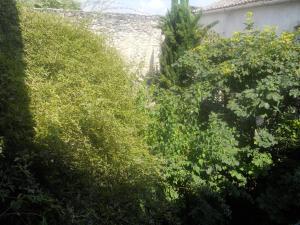 Bel Appartement Dans Cloitre Arbore