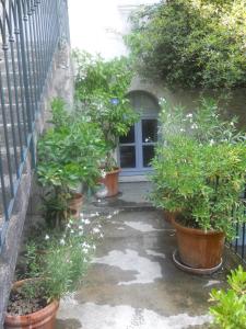 Bel Appartement Dans Cloitre Arbore