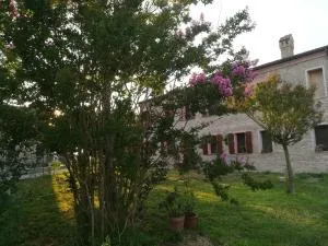 B&B Al Vecchio Noce - Paviole