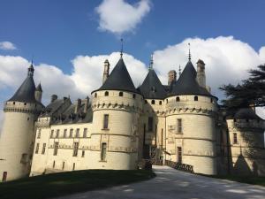 Appartements Les lumieres de la Loire : photos des chambres