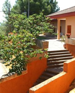 Lago Resort