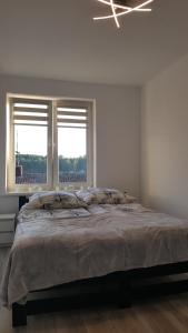 Apartament ULA