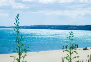 The Golden Rainbow - SEAFRONT apartments