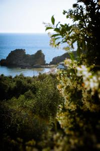 Fotinis Apartments - Pelekas Beach
