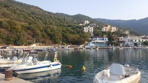 Antony's Apartment Sea View Arkadia Greece