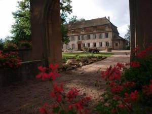 B&B / Chambres d'hotes Chambres d'hotes Chateau De Grunstein : photos des chambres