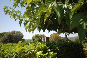 Appartements Le Grand Barsan : photos des chambres