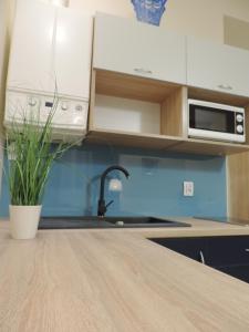 Apartament Blue