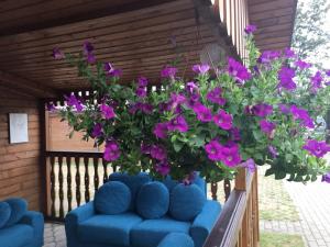 Danas holiday house