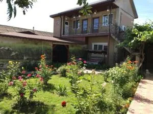 Casa Lenuta - Gorgova