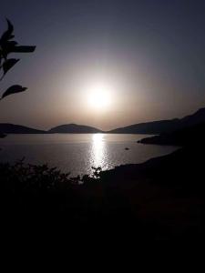 Sylvia's houses Kalymnos Greece