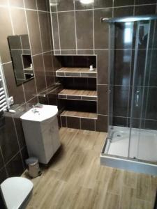 Apartamenty Górskie LĄDEK-ZDRÓJ