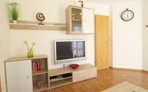 One-Bedroom Apartment room in Ferienwohnung Wagner Bayreuth