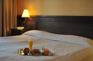 Double Room room in Hotel Izvora