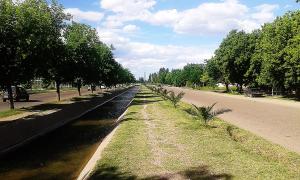 Departamento el Rosedal