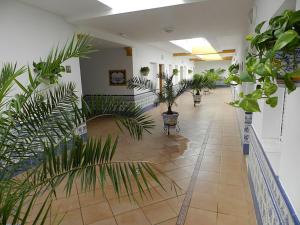 Apartamentos Conil Alquila