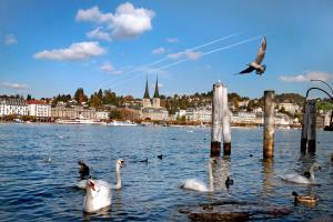 Hotel Münzgasse - Self Check-in