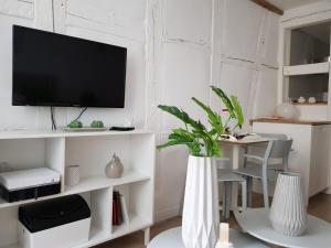 Appartements Studio Maison Verte Colmar Centre : photos des chambres
