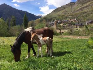 Pansion Hostal Rural Sant Climent Taull &Scaron;panjolska