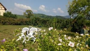 Appartements Le clos des vignes : photos des chambres