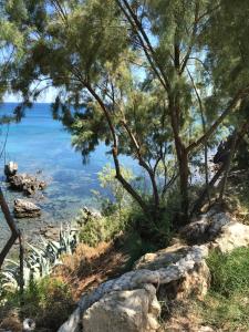 Seafront Studio with direct beach access Messinia Greece
