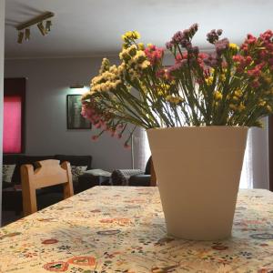 Alojamento de Santa Maria (near Siza Vieiras Church)