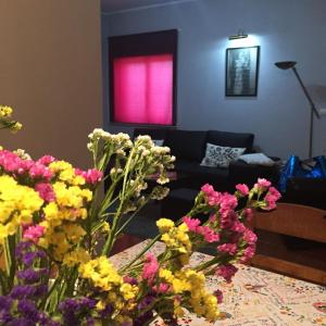 Alojamento de Santa Maria (near Siza Vieiras Church)