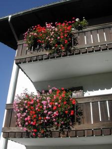 SAN PIETRO DOLOMITI Small Budget Hotel
