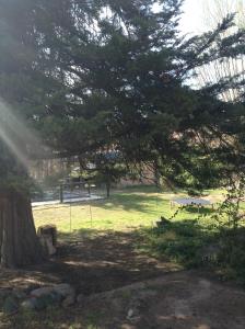Mil Piedras Cabins