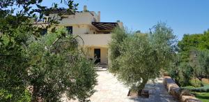 Tenuta Serra Peccatori