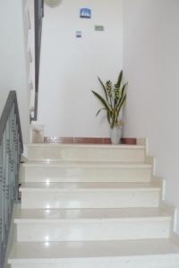 Apartments and Rooms Katija & Egon